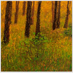 Aspens 1 Oil on Canvas
