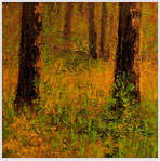 Aspens 2 Oil on Canvas