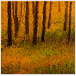 Aspens 5 Oil on Canvas