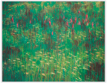 Biebrza River Meadow / Gosia Podosek Original.